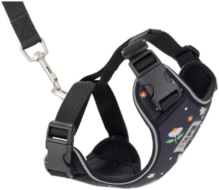 RC Pets Adventure Kitty Cat Harness | Adjustable Airmesh Vest with D-Ring and 6ft Leash for Walking and Travel | Daisies, Large by RCPets