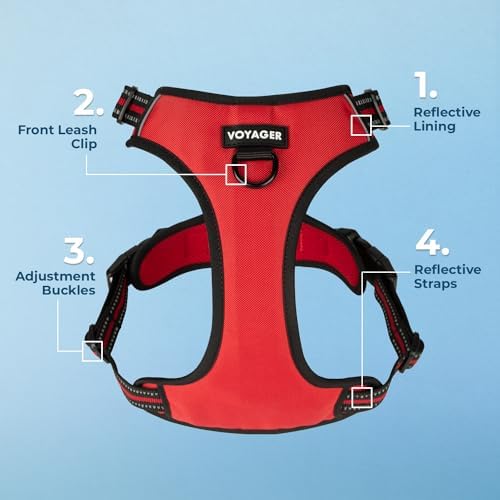 Voyager Dual Attachment No Pull Harness - Red, X-Large - Image 3