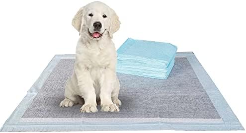 BV Charcoal Puppy Pads 600 Count 22"x22" - Leak-Proof Pee Pads for Dogs with 6-Layer Absorbent Design & Built-in Attractant - Dog Pad with Charcoal for Odor Control, Perfect for Puppies & Senior Dogs by BV