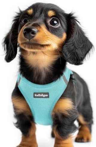 rabbitgoo Step-in Small Dog Harness, Puppy Vest for Small Sized Pet by rabbitgoo