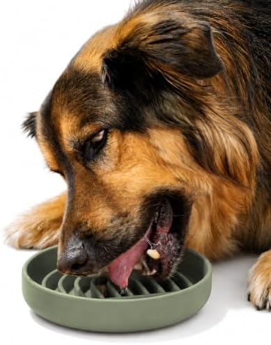 Slow Feeder Dog Bowl - Silicone Dog Bowl, Medium, 7.5" x 1.5" - Sage by ShouldWeGo