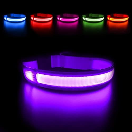 MASBRILL Light Up Dog Collar - LED Dog Collar Rechargeable Waterproof Night Walking Glow Collar for Dogs (M, Purple) by MASBRILL