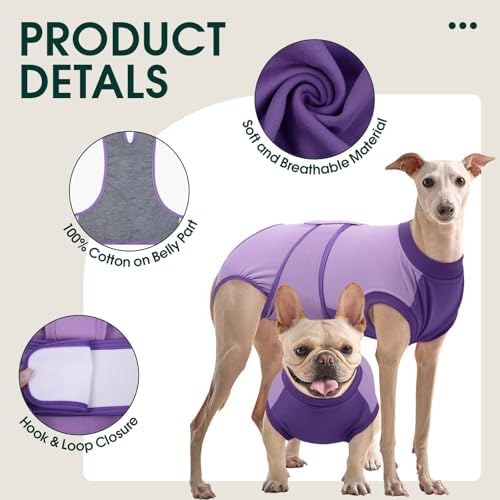 Kuoser Dog Recovery Suit, Female Male Spay Neuter Surgery Suit, Purple, L - Image 4
