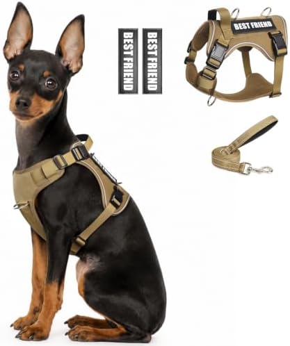 WINSEE No Pull Tactical Dog Harness with Leash Set with 2 Patches by WINSEE