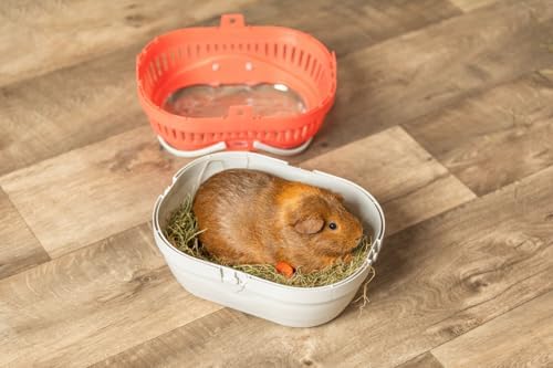Trixie Pico Transport Crate, Small Pet Carrier, Portable Travel Carrier, for Small Pets, Hamsters, Guinea Pig, Lizards - Image 6