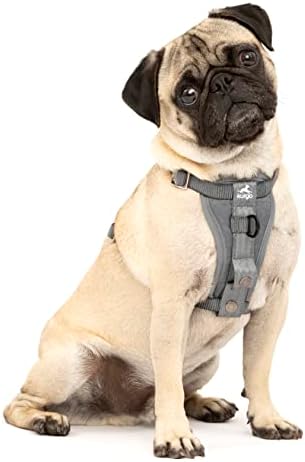 Kurgo Enhanced Strength Tru-Fit Smart Harness, Charcoal, Small by Kurgo