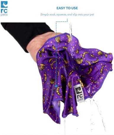 RC Pet Products Innovative, Lightweight, Stylish, Zephyr Cooling Bandana, Dog Cooling Bandana | Small, Ice Cream - Image 6