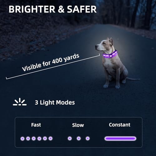 Super Bright LED Dog Collar - Fully Waterproof & Adjustable Glow Collar - USB-C Rechargeable for Night Walking, Safety - Flashing Lighted Collar for Dogs(Purple,Large) - Image 5