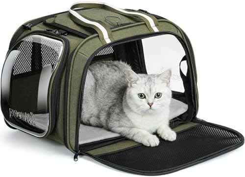 Pecute Cat Carrier,Double Bubble Pet Carrier for Cat Small Dogs,Green,M by pecute