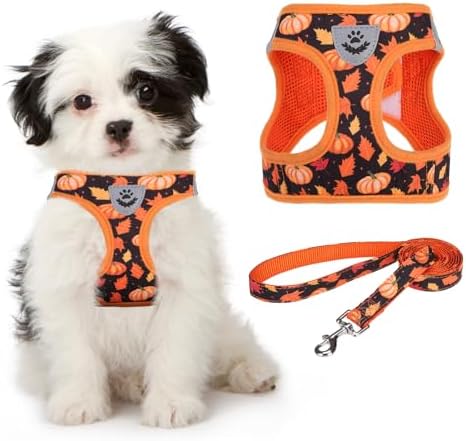KOOLTAIL Fall Dog Harness and Leash Set for Small Medium Dogs, Thanksgiving Step in No Pull Comfort Padded Pet Vest, Adjustable Reflective Easy Walking Puppy Cats Harness Training, Leaf & Pumpkin M by KOOLTAIL