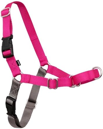 PetSafe Easy Walk Harness, No Pull Dog Harness, Raspberry, Small by PetSafe