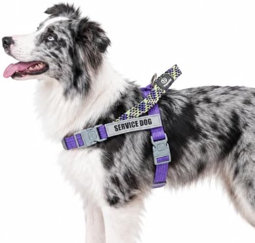 Service Dog Vest, No-Pull Service Dog Harness with 4 PCS Reflective Patches, Dog Vest Harness with Handle, Pet Harness for Small Medium Large Dogs in Training (Purple, S) by Paworld