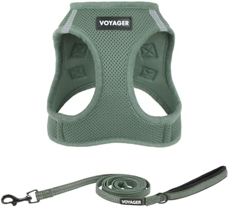 Best Pet Supplies Voyager Step-in Air All Weather Mesh Harness and Reflective Dog 5ft Leash Combo with Neoprene Handle, for Small, Medium and Large Breed Puppies - Moss Green, XXS by BestPetSuppliesLLC