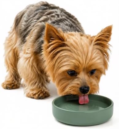 The Perfect Dish - Silicone Dog Bowl for Food & Water, 6" x 1.25"-Spruce by ShouldWeGo