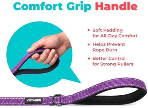 Best Pet Supplies Voyager Nylon Dog Leash - 6ft Purple, Large - Image 5