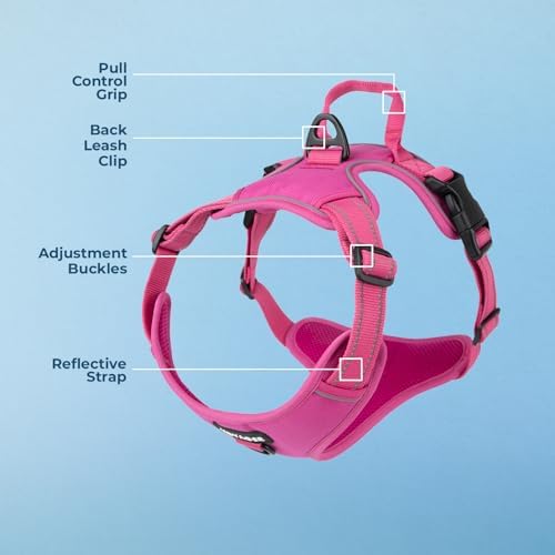 Voyager Dual Attachment No Pull Harness - Fuchsia, Small - Image 3