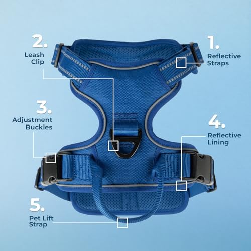 Voyager Dog Harness Dual Leash Attachment No-Pull Control Adjustable Soft but Strong Pet Harness for Medium and Large Dogs with 3M Reflective Technology, Leash Set Royal Nylon, XS (Chest: 13-16") - Image 6