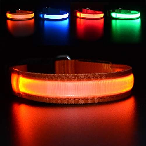 MASBRILL LED Dog Collar - Rechargeable, Waterproof, Glow Collar for Small to Large Dogs by MASBRILL