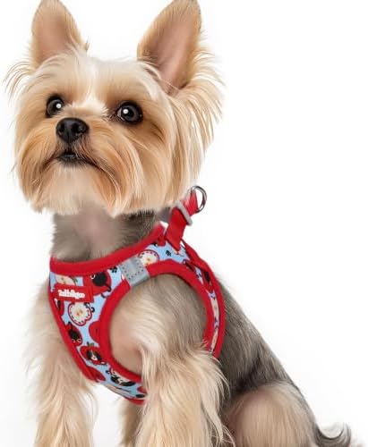rabbitgoo Step-in Small Dog Harness, Puppy Vest for Small Sized Pet by rabbitgoo