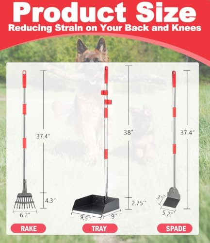 FUSBUNTY Dog Pooper Scooper Set, Heavy Duty Stainless Steel Rake & Spade - Image 2