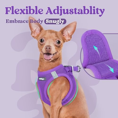 rabbitgoo Step-in Small Dog Harness, Puppy Vest for Small Sized Pet - Image 6
