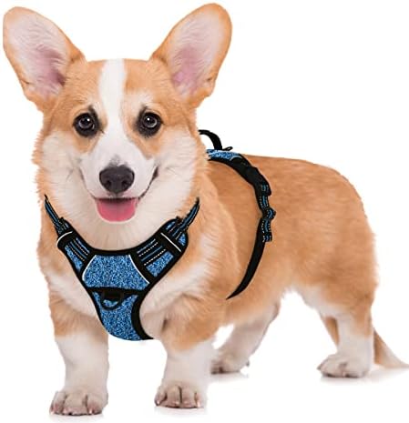 BARKBAY No Pull Dog Harness Large Step in Reflective Dog Harness with Front Clip and Easy Control Handle for Walking Training Running with ID tag Pocke(Blue/Black,M by BARKBAY