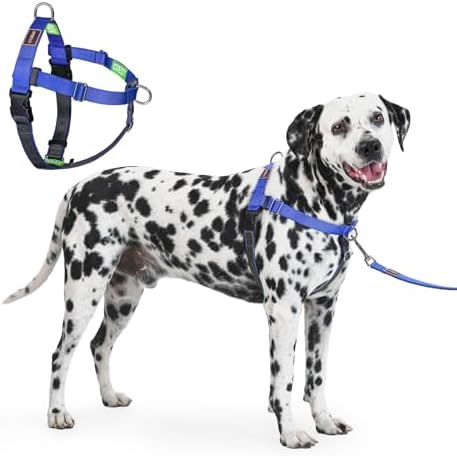 Freedom No Pull Dog Harness for Large Dogs, Blue, XL by APDEXY%7CEspeciallyFurYou