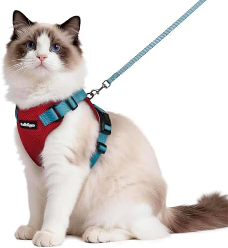 rabbitgoo Cat Harness and Leash Set, Escape Proof Vest, Red & Teal by rabbitgoo