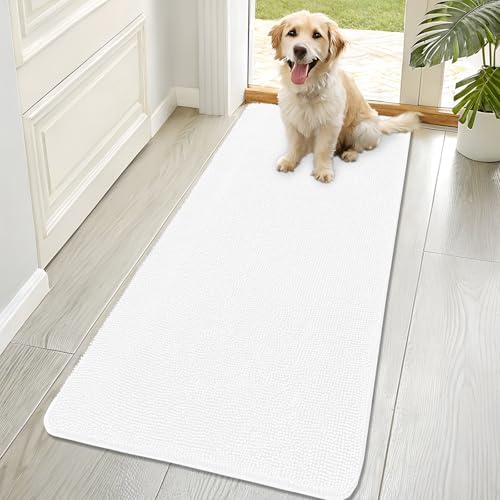 OLANLY Dog Door Mat for Muddy Paws 70x32, Super Absorbent Chenille Mud Mat by OLANLY