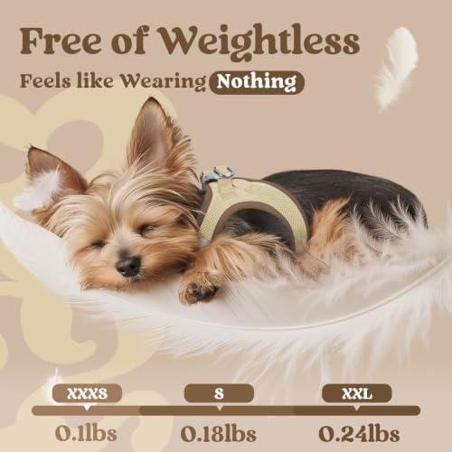 rabbitgoo Step-in Small Dog Harness, Puppy Vest for Small Sized Pet - Image 4