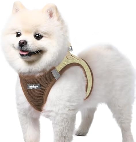 rabbitgoo Step-in Small Dog Harness, Puppy Vest for Small Sized Pet by rabbitgoo