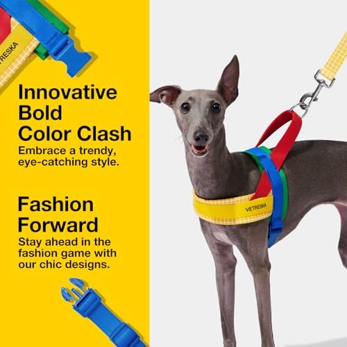 VETRESKA MoMA Dog Harness and Leash Set, Easy Walk Dog Harness (Yellow, L) - Image 2