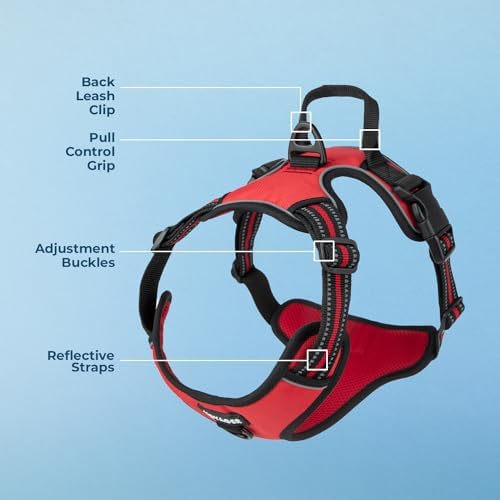 Voyager Dual Attachment No Pull Harness - Red, Large - Image 4