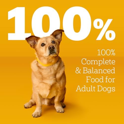 Pedigree Choice Cuts Wet Dog Food Pouch, Beef & Bacon, 3.5 oz, 16 Count - Image 4