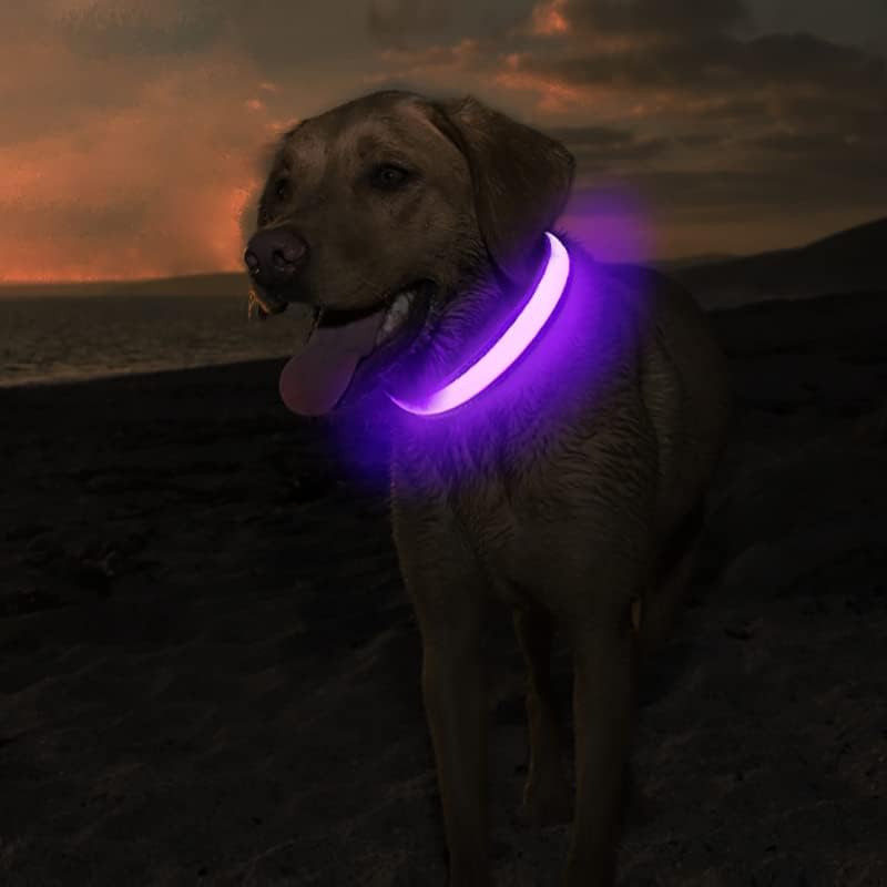 MASBRILL Light Up Collar, LED Rechargeable Glow Flashing Night Collar, Waterproof, 4 Colors, 3 Sizes for Small to Large Dogs (S(0.98 * 15.75"), Purple) - Image 2
