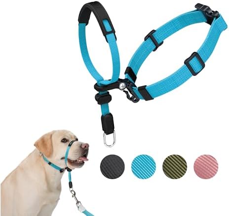 SVD.PET No-Pull Dog Headcollar for Easier Walks, Chew-Proof Protector to Increase Comfort, Simple Design, Easy to Wear and Adjust (Large Size for Medium and Large Size Dogs, Sky Blue) by SVDPET