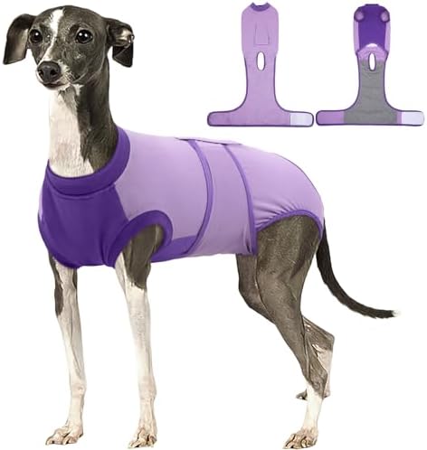 Kuoser Dog Recovery Suit, Female Male Spay Neuter Surgery Suit, Purple, L by Kuoser