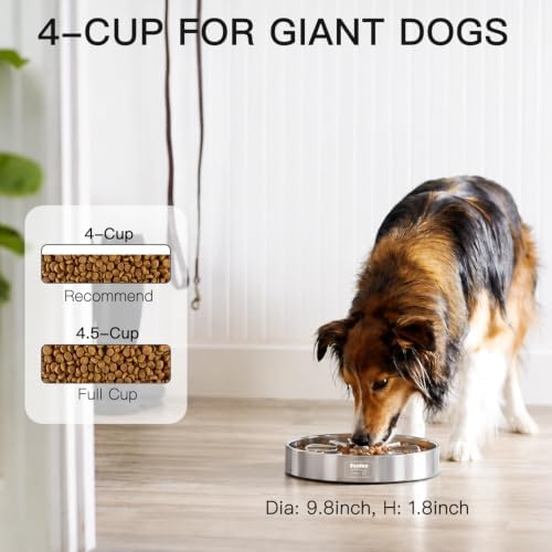 Feedoo Slow Feeder Dog Bowl 4-Cup, Double-Wall Stainless Steel, 2-Pack - Image 2