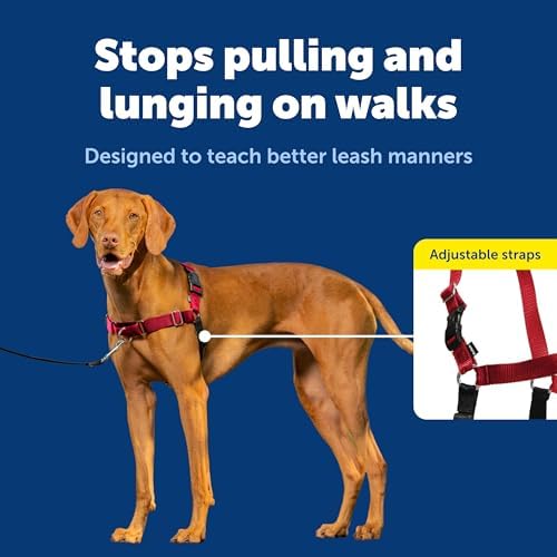 PetSafe Easy Walk Harness for Dogs - Pull-Free Walks - Patented Martingale Loop Design - Front Chest Leash Attachment - Comfort Straps - Breathable Harness Design - Medium, Red/Black - Image 3