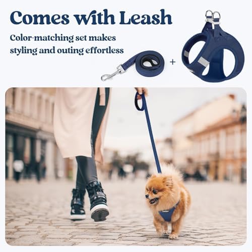 rabbitgoo Dog Harness Medium Sized and Leash Set, Step-in Puppy Pet Vest - Image 5