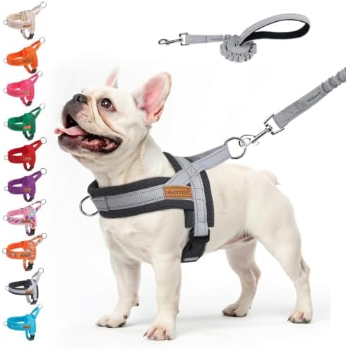 BEAUTYZOO Dog Harness Medium Sized and Leash Set, No Pull Step in Pet Vest by BEAUTYZOO