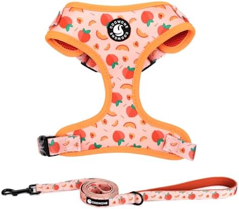 Dog Harness and Leash Set, Adjustable Dog Harness, Dog Leash, No Pull No Choke Puppy Harnesses for Walking Training for Small Medium Pet by COOWONE