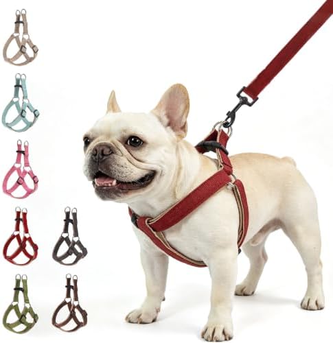 BEAUTYZOO Adjustable No Pull Dog Harness and Leash Set by BEAUTYZOO