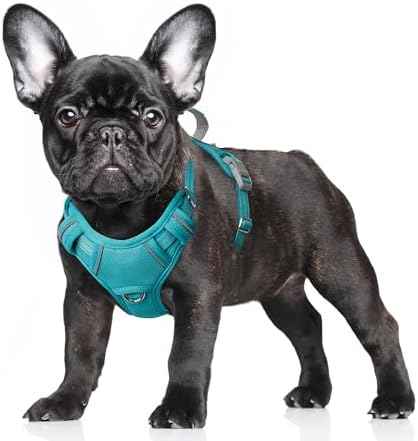 BARKBAY Dog Harness for Small Sized Dog No Pull Dog Vest ID Tag Pocket by BARKBAY