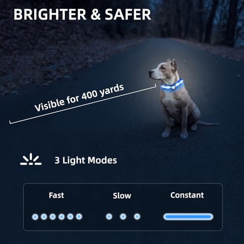 Super Bright LED Dog Collar, Waterproof Light up Collars(Blue, Medium) - Image 5