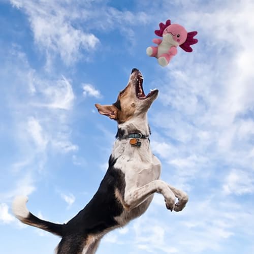 Blnboimrun Squeaky Dog Toys for Aggressive Chewers, Interactive Puppy Toys with Squeaker & Crinkle Paper, Double Layer Durable Plush Axolotl for Small Medium Large Dogs Indoor Outdoor Play - Image 5