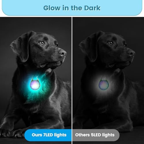 2Pack Dog Lights for Night Walking Dog Collar Light Clip on Rechargeable Glow in The Dark Light with 4Modes & RGB Color for Camping - Image 3