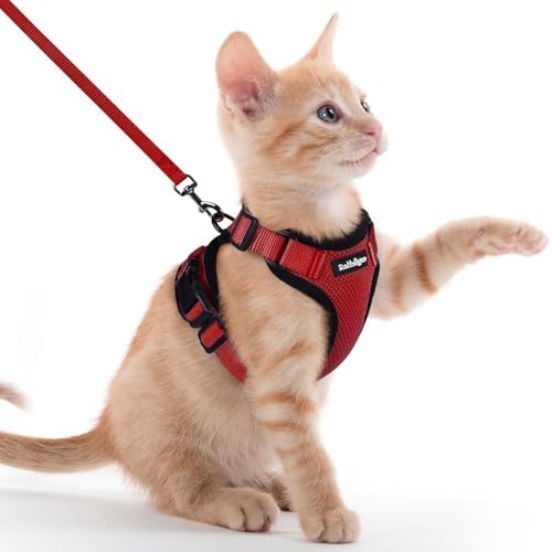 rabbitgoo Cat Harness and Leash Set, Escape Proof Vest, Red by rabbitgoo