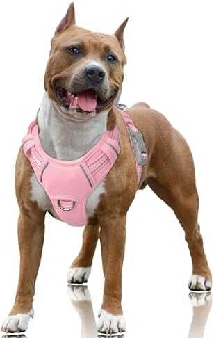 BARKBAY Dog Harness for Large Dogs No Pull Dog Vest ID Tag Pocket by BARKBAY