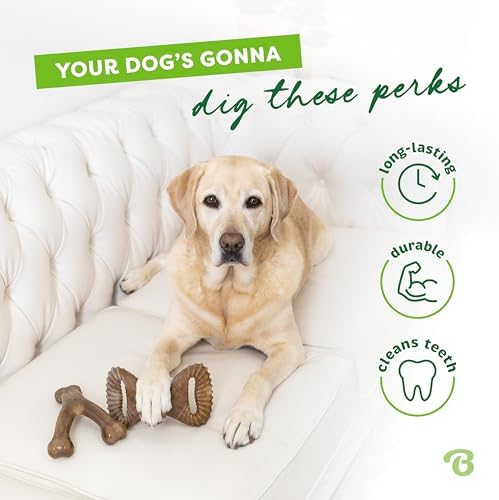 Benebone 2-Count Wishbone/Dental Durable Dog Chew Toys, Real Bacon, Small (Pack of 10) - Image 3